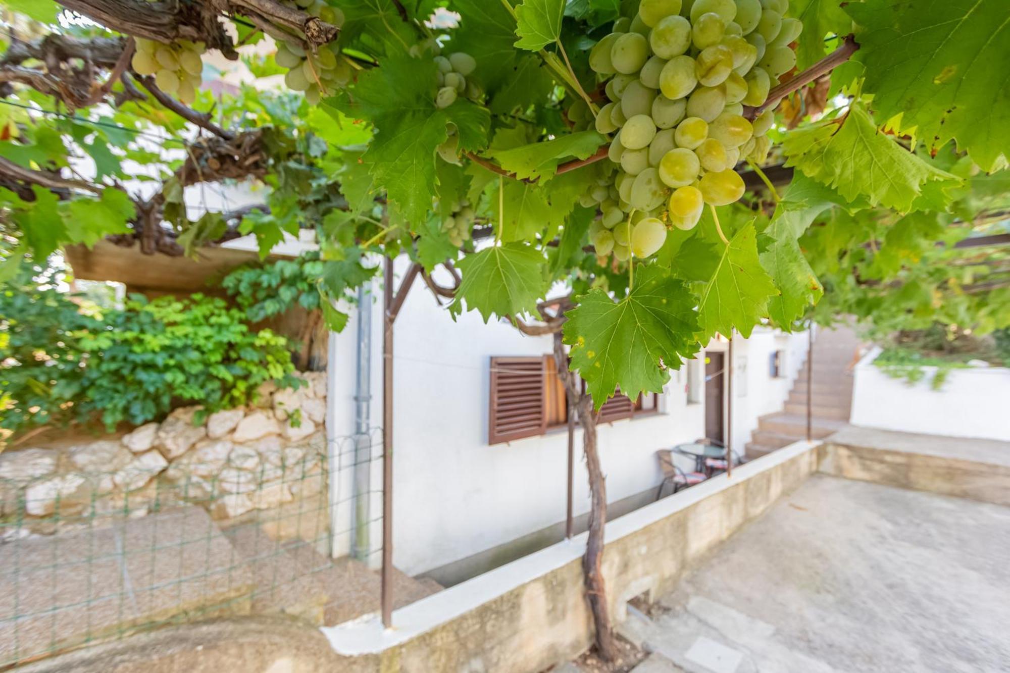 Apartmani Mw, Plavi Apartman باشْكا المظهر الخارجي الصورة